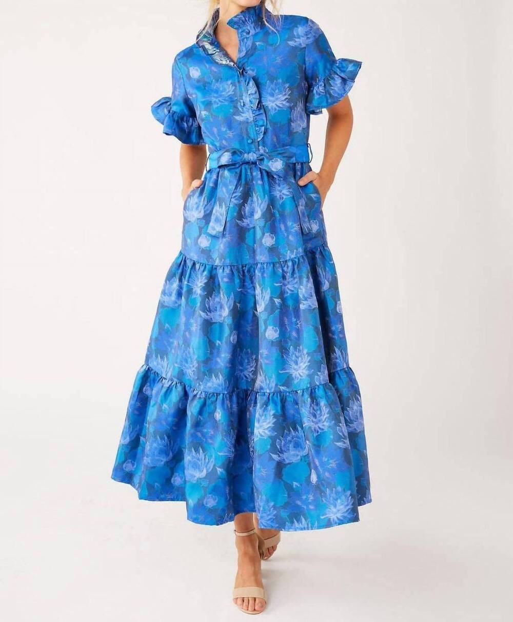 NEW ABBEY GLASS sadie maxi dress in blue floral